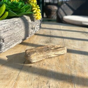 Natural Petrified Wood Specimen Fossilized Wood Display Stone Nature Collectible